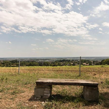 Gite Des Moulins Castelnau-dʼEstrétefonds Eksteriør bilde